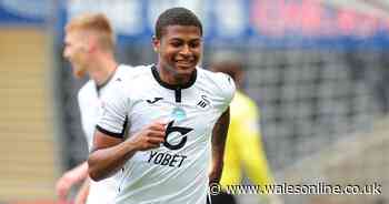 Brewster and Ayew sink Owls as Swans keep top six hopes alive