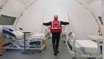 Canadian Red Cross goes completely electronic amid COVID-19 pandemic