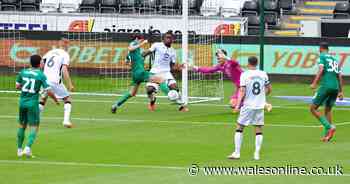 Swansea City ratings as Rhian Brewster and Marc Guehi steal the show