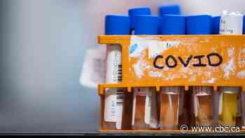 1st glimpse of Canada's true COVID-19 infection rate expected mid-July from immunity testing