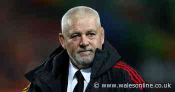 Gatland under fire down under as his team crash to foot of the table