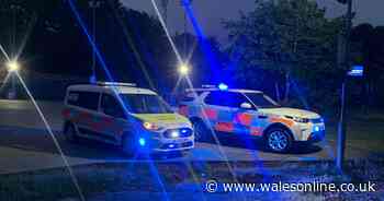 'Sheer stupidity' Drunk reveller saved twice by river rescue team