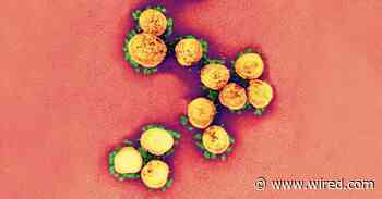 Covid-19 Is Accelerating Human Transformation—Don’t Waste It