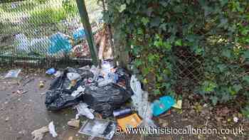 Litter picking groups to clear Stanmore streets