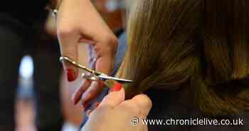 A South Shields museum is looking for someone to donate their hair