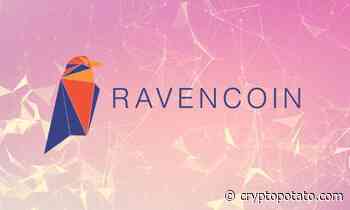 Hackers Exploit Vulnerability in Ravencoin Protocol to Mint 315 Million Fake RVN Coins - CryptoPotato