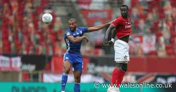 The three unsung players driving Cardiff City's Premier League dream