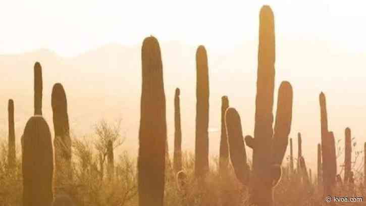 High temperatures will stay over 105 through the middle of the work week.