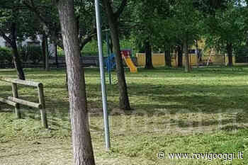 Continua lo sfalcio dell'erba ad Adria - RovigoOggi.it