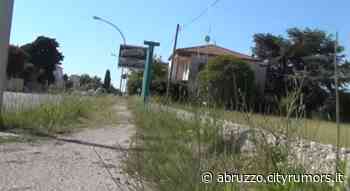 Cologna, marciapiedi della Statale impraticabili per l'erba alta. Critiche all'assessore Petrini NOSTRO SERVIZIO - Ultime Notizie Cityrumors.it - News Ultima ora - CityRumors.it