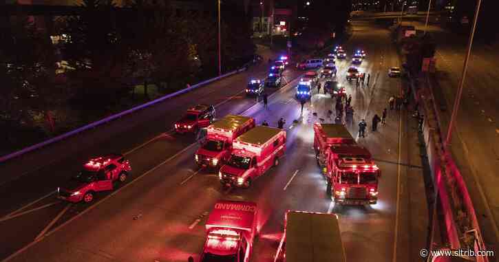 Protester killed on Seattle freeway was dedicated to cause