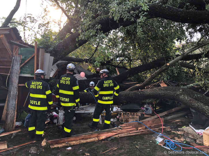 19 People Hospitalized After Large Tree Collapses On Garage In Pasadena