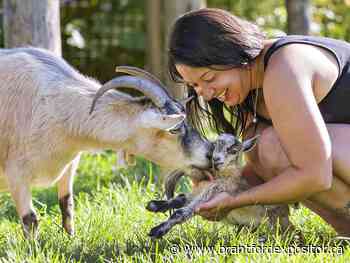 New life comes in many forms at Twin Valley Zoo - Brantford Expositor