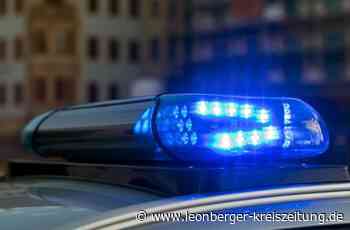 Polizeibericht aus Leonberg: 19-Jährige fährt auf BMW auf - Leonberg - Leonberger Kreiszeitung
