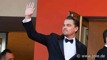 Leonardo DiCaprio: Das sind seine Ex-Freundinnen - Jolie