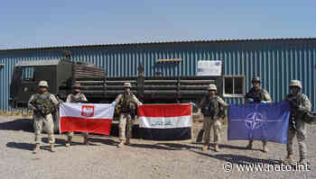 Coronavirus response: Poland delivers additional medical assistance to Iraq - NATO HQ