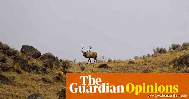 Trump wants to put a rightwing zealot in charge of public land. Here's why it matters | Cas Mudde