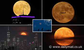 Incredible images capture July's 'buck moon' lighting up the sky above New York