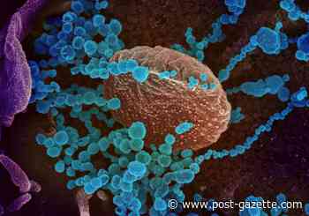 Walkabout: Is there a cure for COVID-specific squeamishness?
