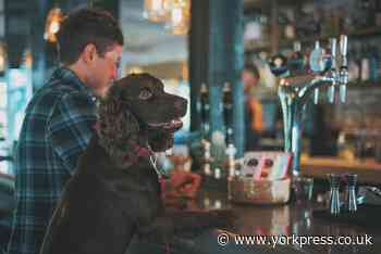 Crown and Cushion named most dog-friendly pub in Yorkshire