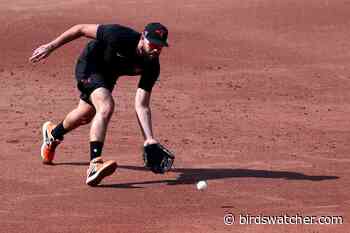 Baltimore Orioles: Reviewing Twitter Video from the First Weekend - Birds Watcher