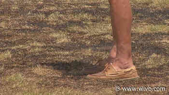 Niagara Falls officials, coaches call “foul” after baseball diamond damaged by apparent fireworks