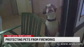 SPCA Serving Erie County reminds pet owners about protecting pets from fireworks