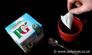 PG Tips will remove all plastic packaging from its products by next year