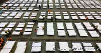 Suspected case of bubonic plague sends China into high alert