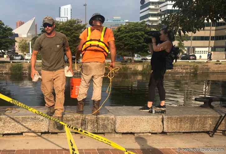 Crews Retrieve Christopher Columbus Statue From Baltimore’s Harbor