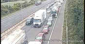 Man dies after van crash on M5