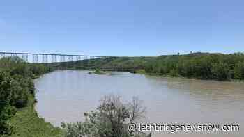 No risk of flooding, but stream flows on Oldman River high - Lethbridge News Now