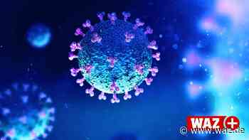 Alles Corona? Welche Viren in Essen 2020 noch gemeldet sind - WAZ News