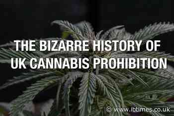 The Bizarre History of UK Cannabis Prohibition