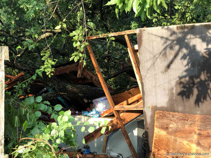 Fire Officials: 21 People Injured After Large Tree Falls On Garage In Pasadena Sunday