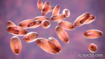 China's Inner Mongolia region reports bubonic plague case