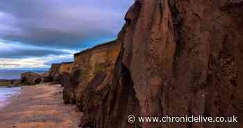 Cliff collapse at Ryhope beach creates amazing human face outline