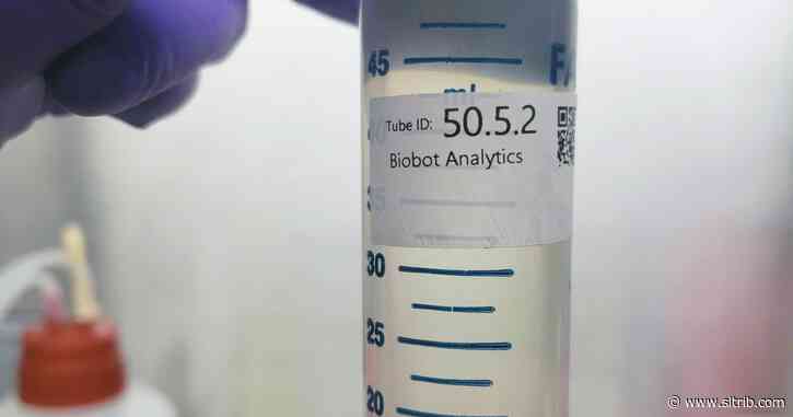 Waste-watching: Sewage can help track pandemic virus trends