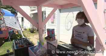 9-year-old entrepreneur turns small lemonade stand into thriving concession stand in Elyria - News 5 Cleveland
