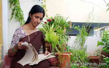 Telangana craft entrepreneur’s paper napkin a ‘seed’ of an idea - The Hindu