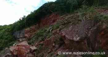 Drone footage shows giant boulders and scale of landslide near beach