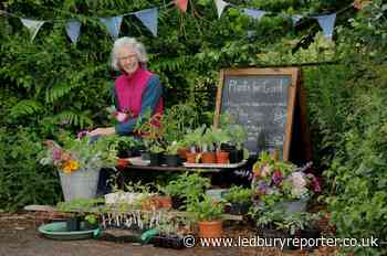 Green-fingered gardener Trish raises cash for charity
