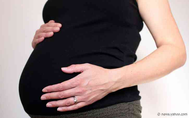 MPs call for parental leave to be extended by three months amid fears over childcare and job losses during Covid-19