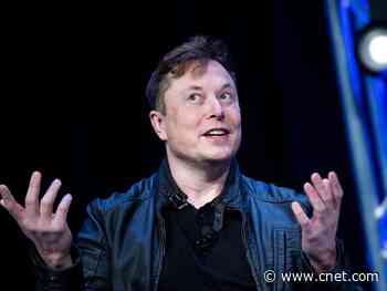 Elon Musk reveals '$69.420' Tesla short shorts     - CNET
