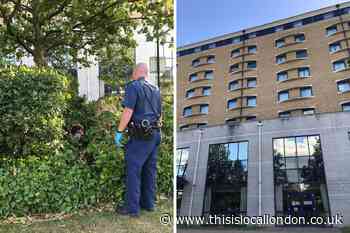 Man arrested after woman killed in Greenwich Holiday Inn