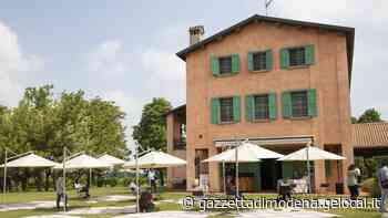 La domenica a Modena si va al pic nic sul prato di Casa Pavarotti - La Gazzetta di Modena