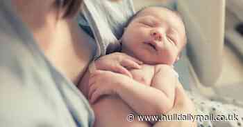Parents face 1,400 'backlog' to register new births in Hull