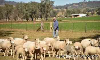 China trade tension to hit Australian beef and wool exports