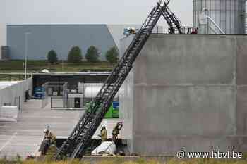 Brand in spouwmuur van bedrijf op industrieterrein Tongeren Oost - Het Belang van Limburg