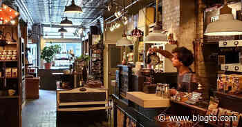 Lavish & Squalor has closed after 13 years in Toronto - blogTO